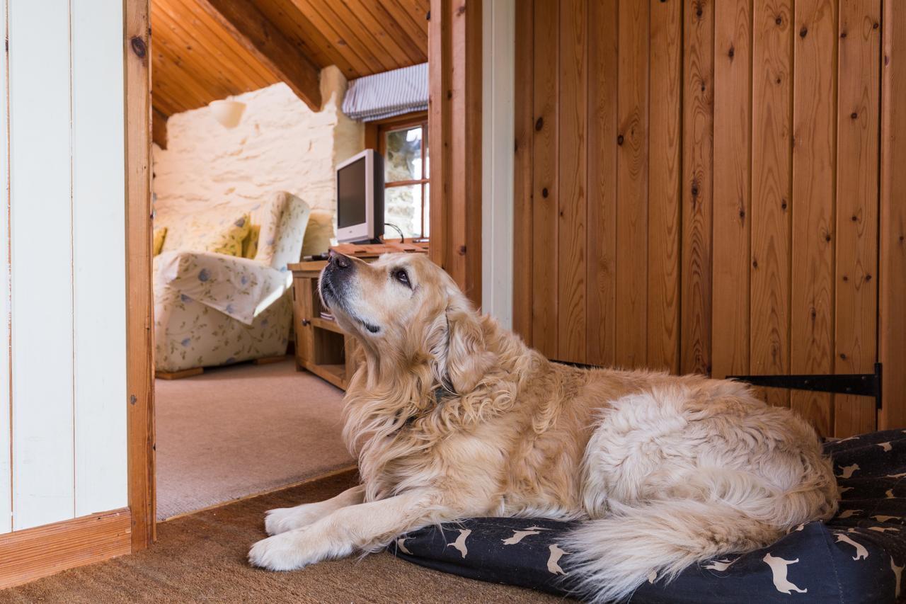 Trenderway Farm Bed & Breakfast Looe Luaran gambar