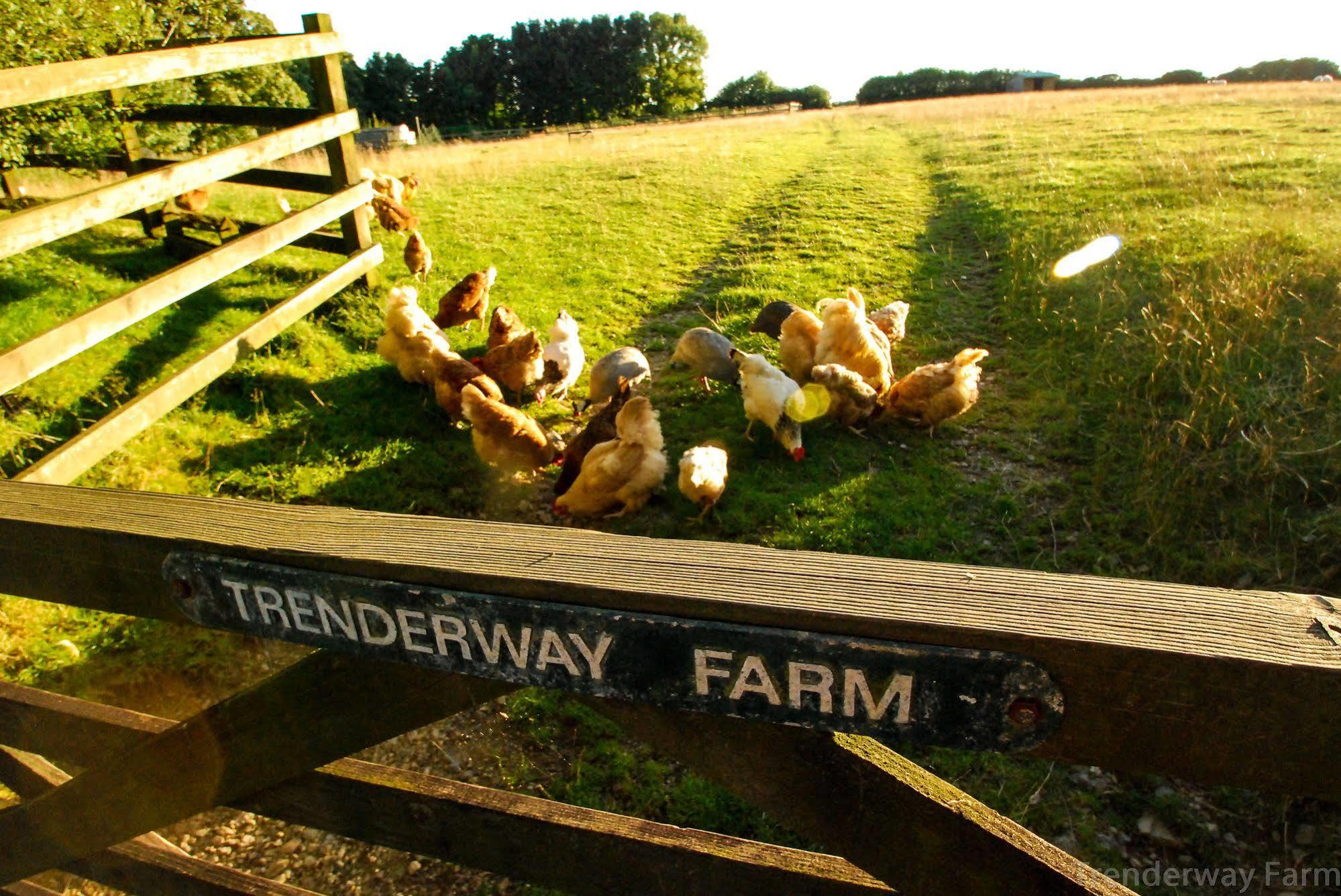 Trenderway Farm Bed & Breakfast Looe Luaran gambar